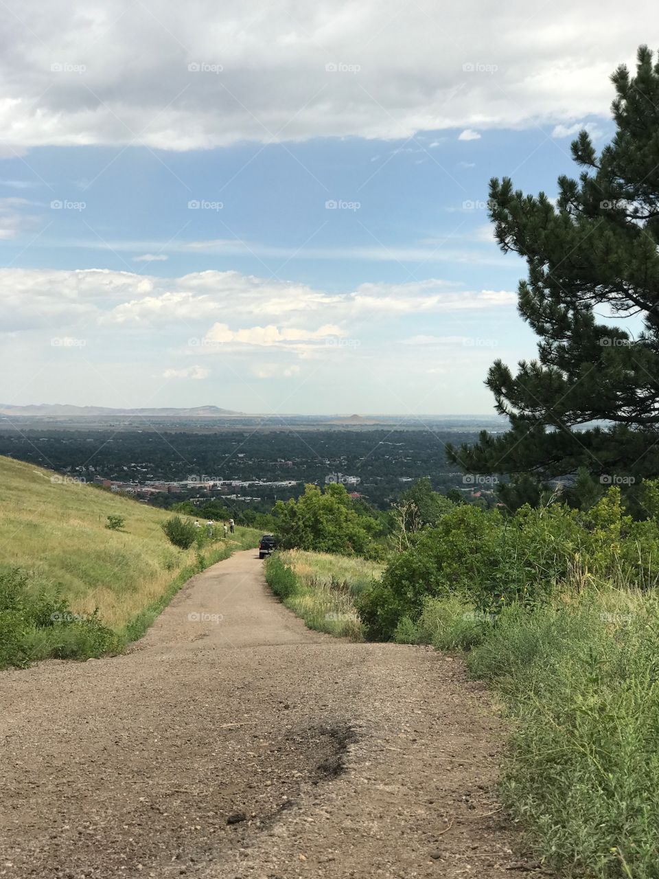 Path from the mountains of Boulder, Colorado 