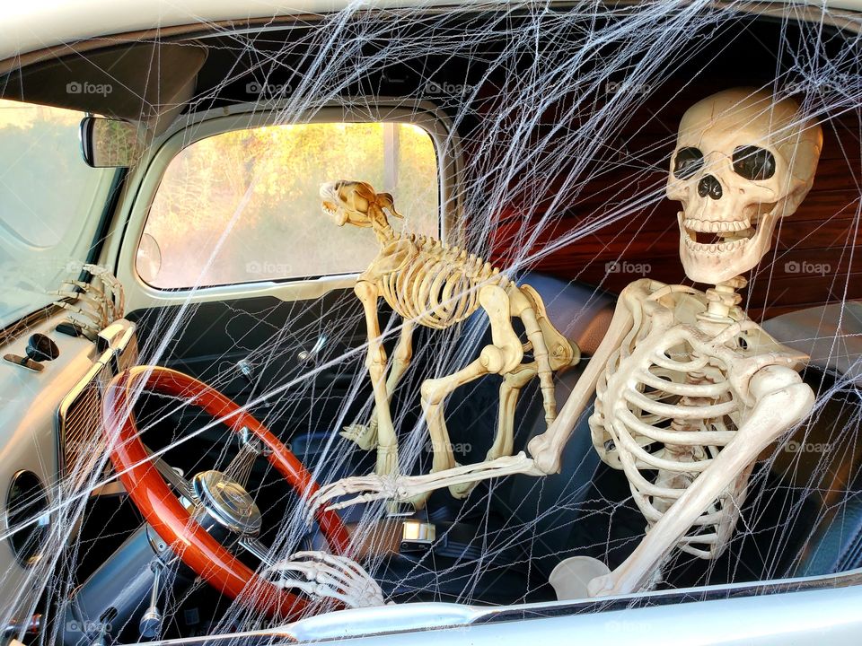 A skeletal man and his skeletal best friend enjoy a drive in their classic cruiser