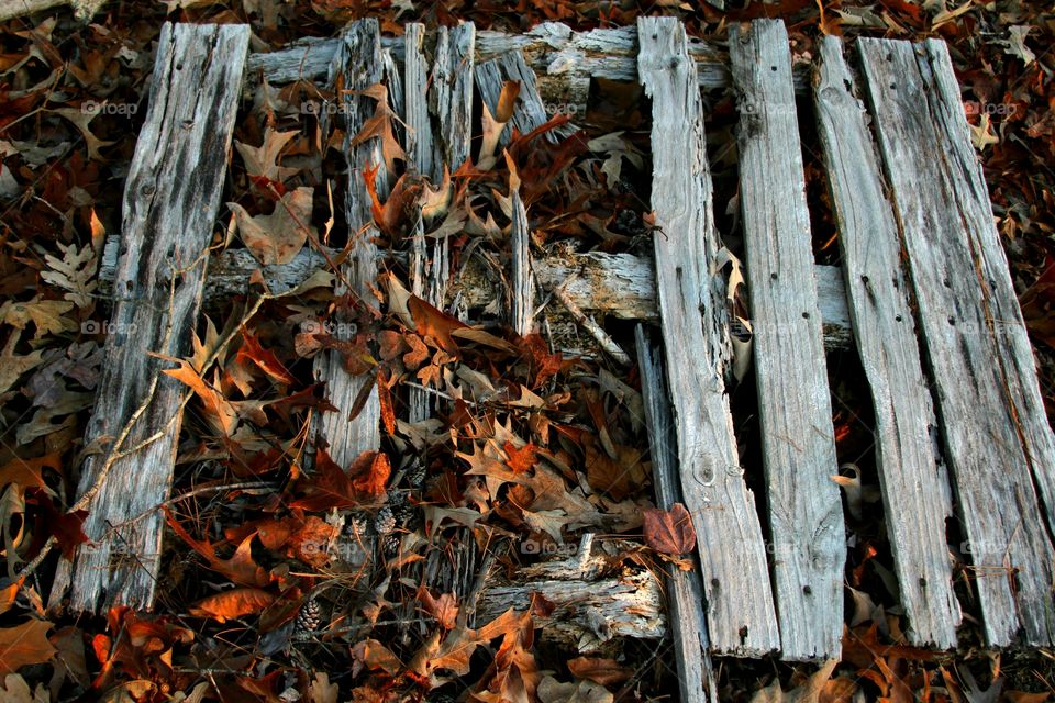 decaying crate in the woods.