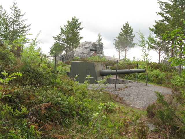 Forest Tank