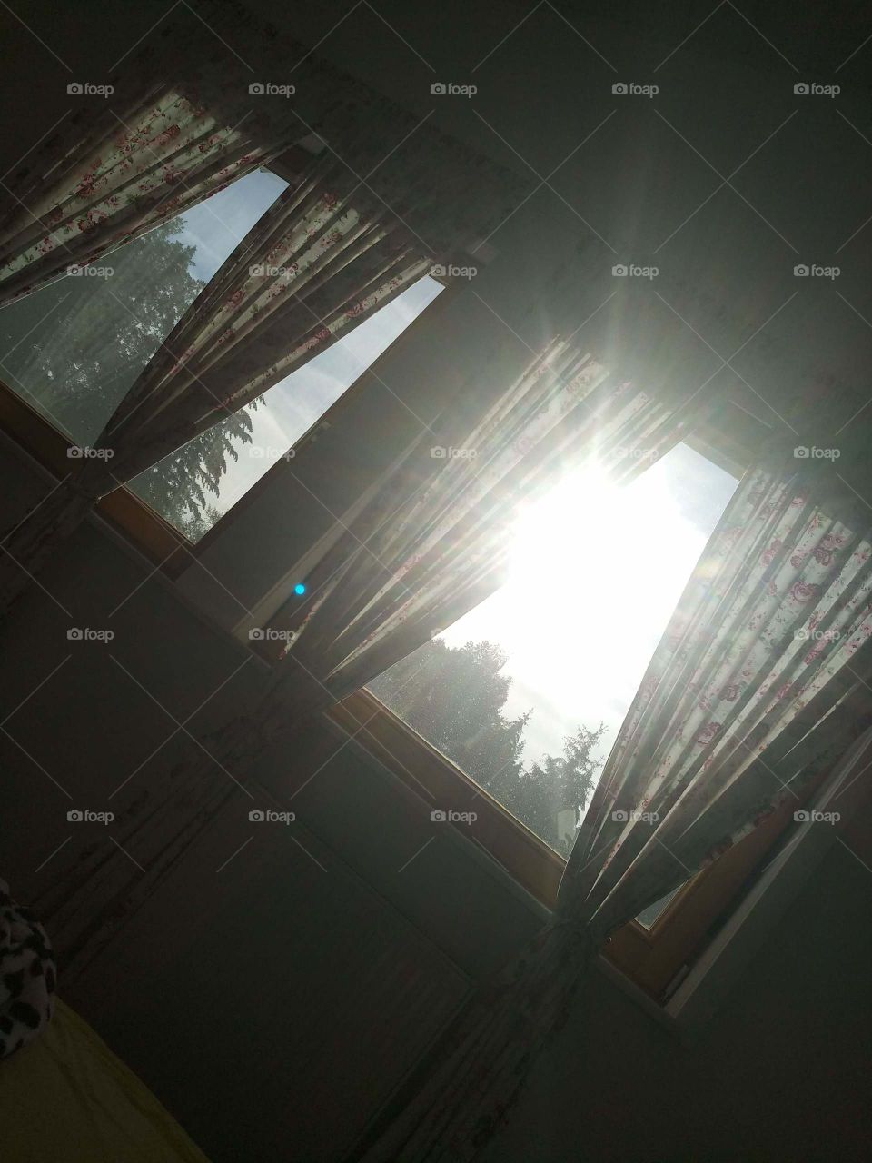 looking for shadows!