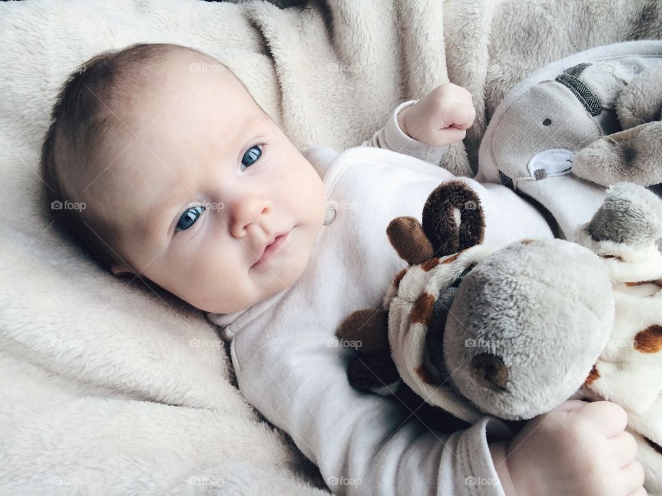 Two month baby with soft toy. Cute two month baby with soft toy