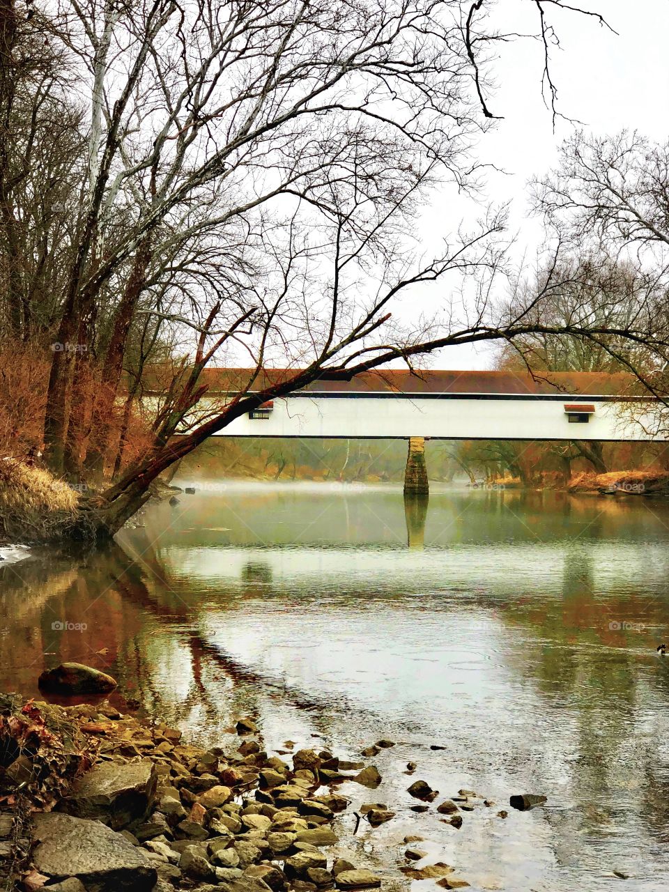 Foggy winter day at the covered bridge in Indiana 