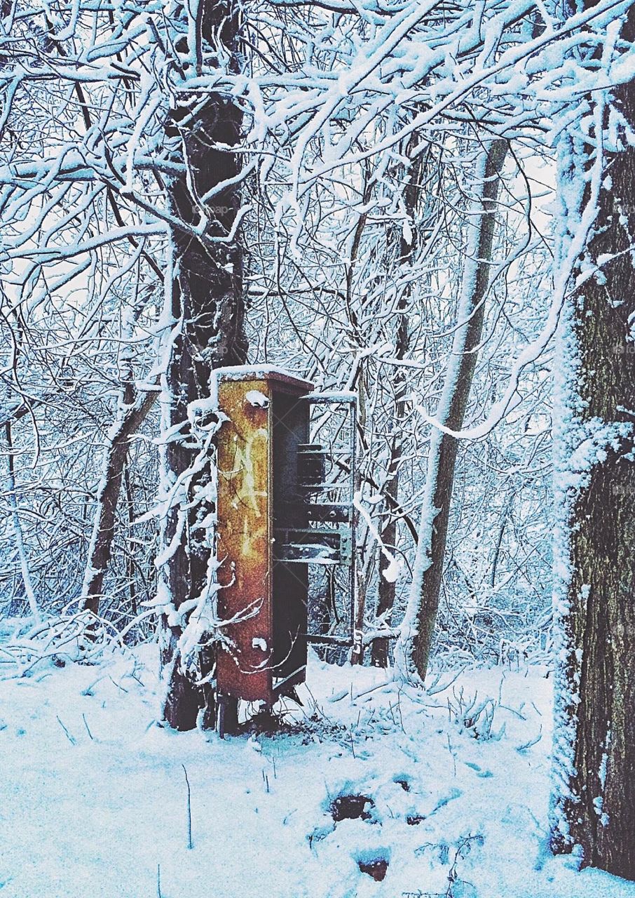 Scenic view of nature in winter