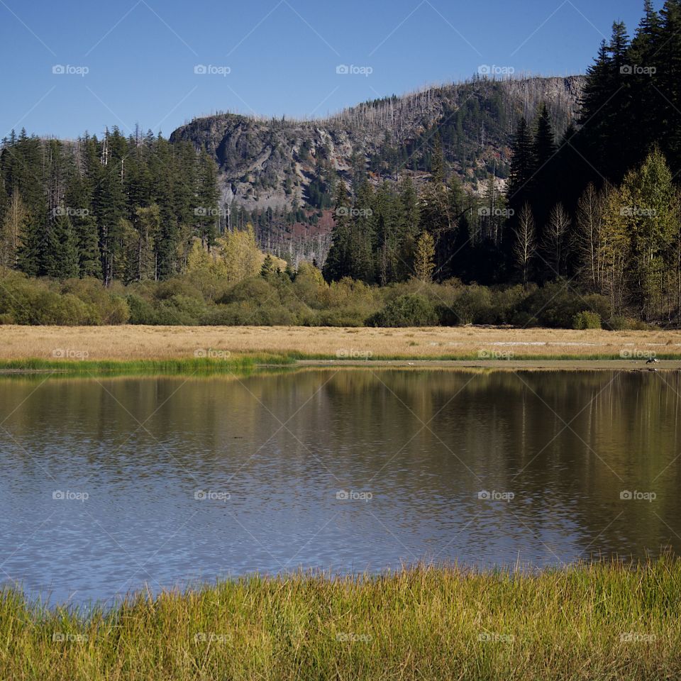 Lost Lake off of the Santiam Pass in Oregon’s mountains with multicolored trees reflecting in its waters on a beautiful sunny fall day. 