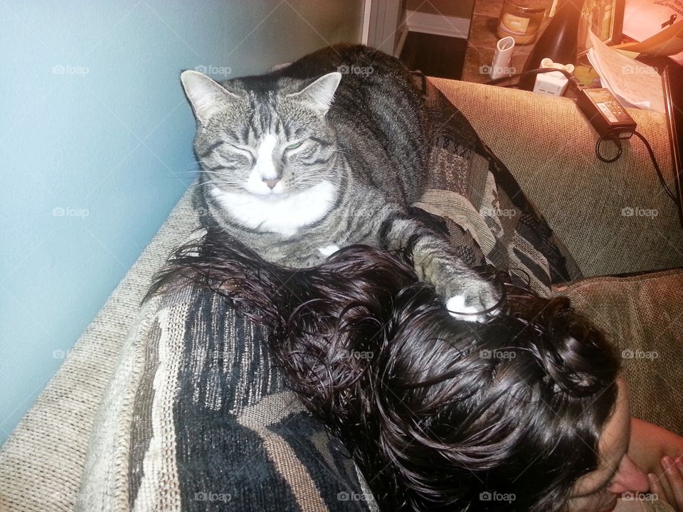 cat loves hair