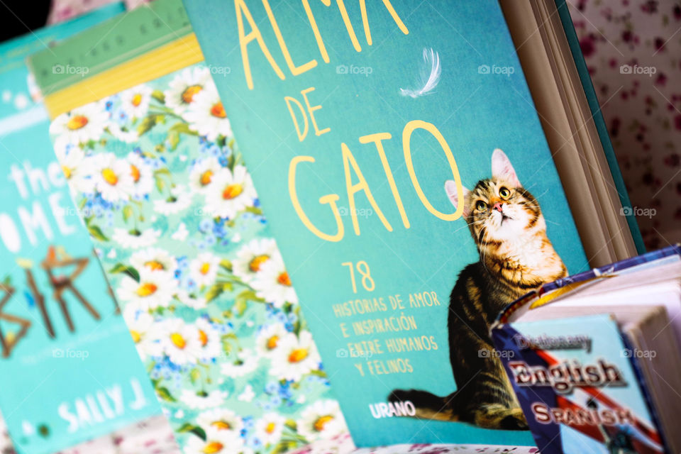 La librería del gato