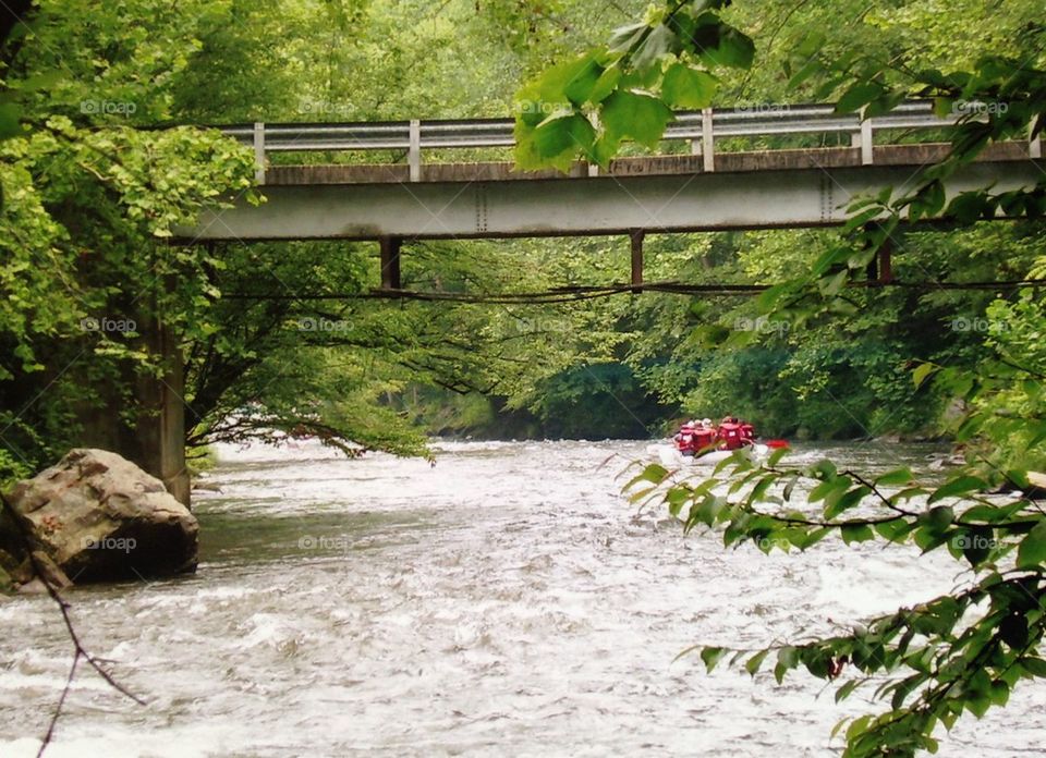 Rafting on river