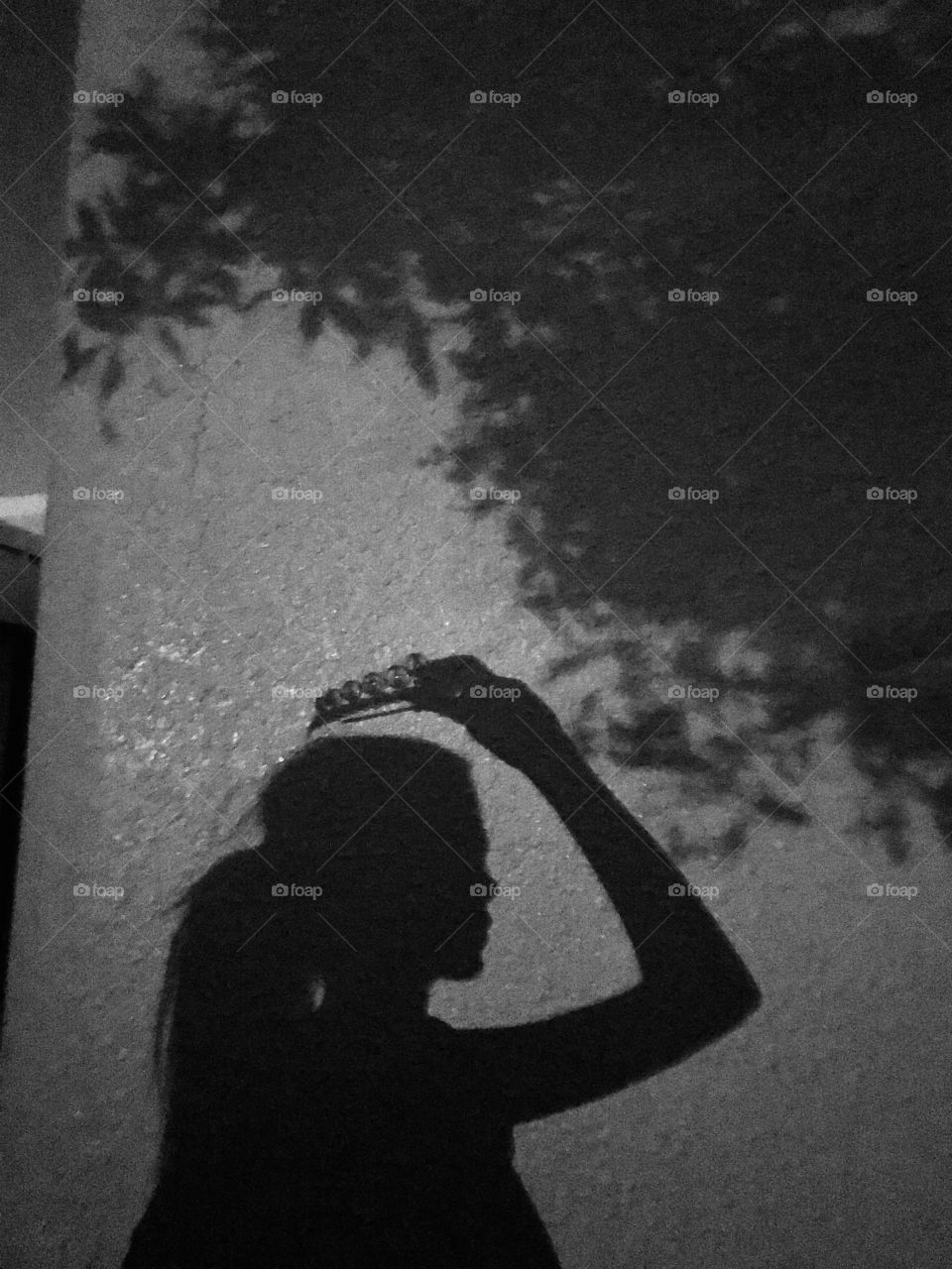 Monochrome shadow picture of a girl with crown 