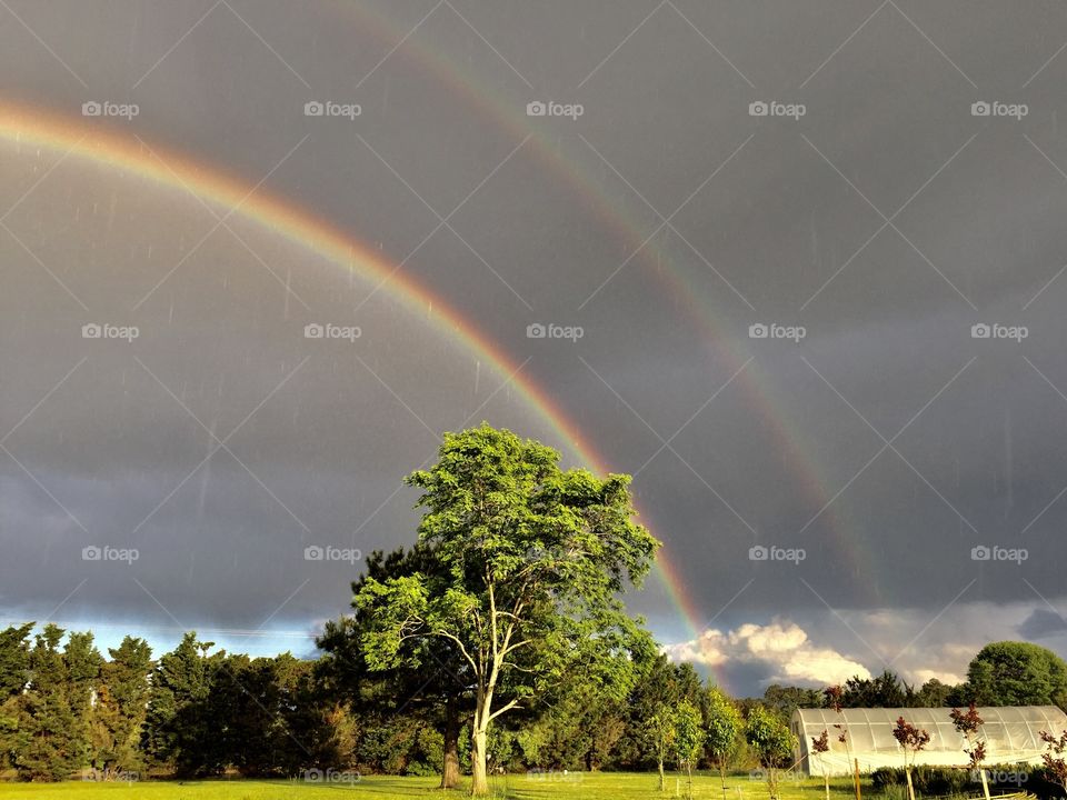 Rainbow over the farm during a sun shower