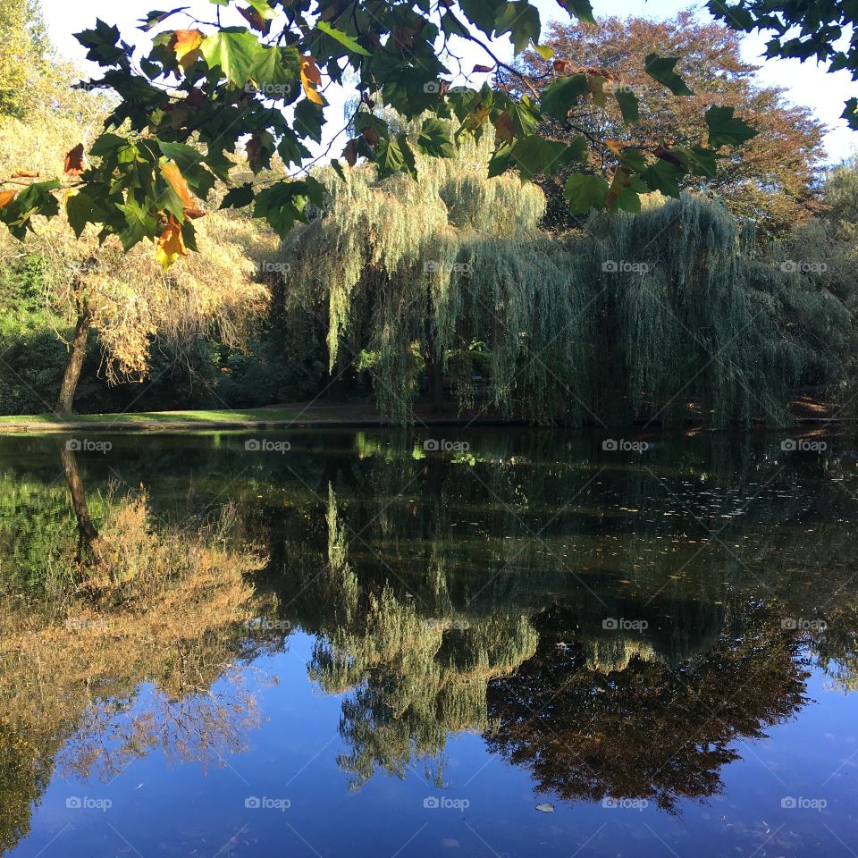 A stunning afternoon in Bicclescombe Park in Ilfracombe, North Devon. Autumn is here, sunshine is out and the clear reflections bring clarity to the day. 