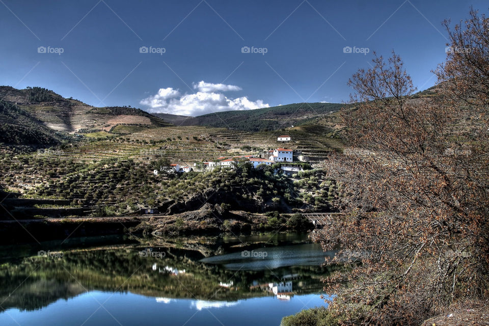 Douro Vinhateiro