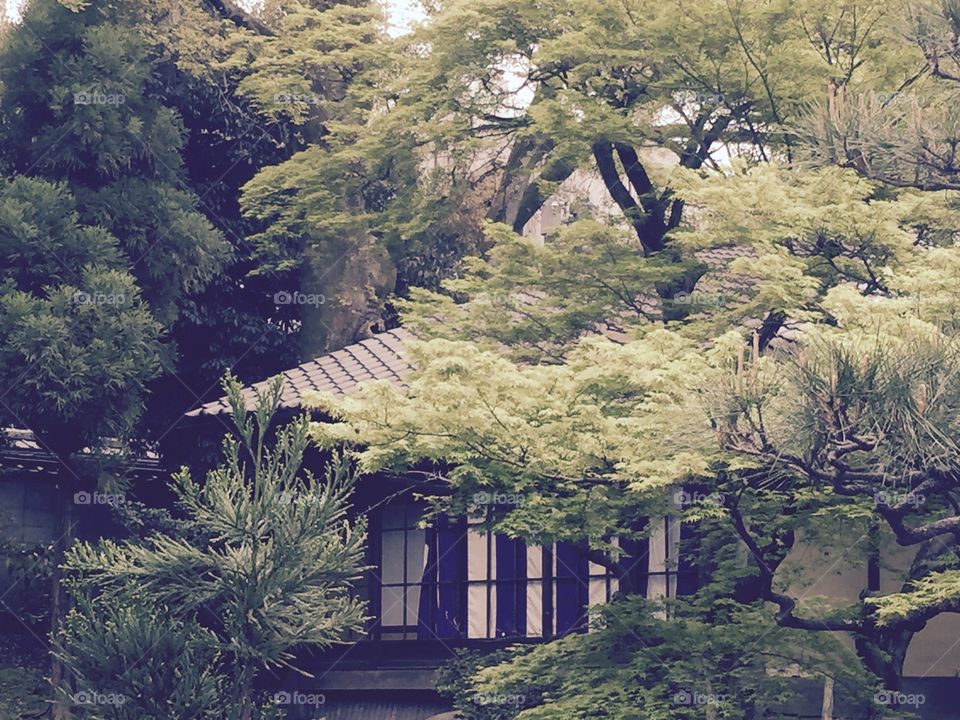 日本家屋. 祇園