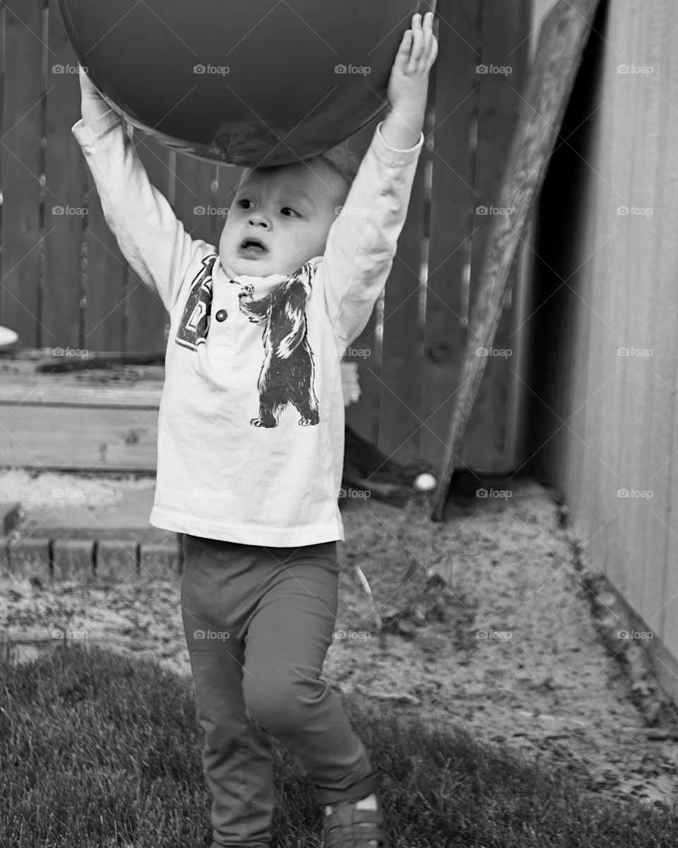 A small toddler boy strains to control a giant rubber ball on a sunny summer day. 