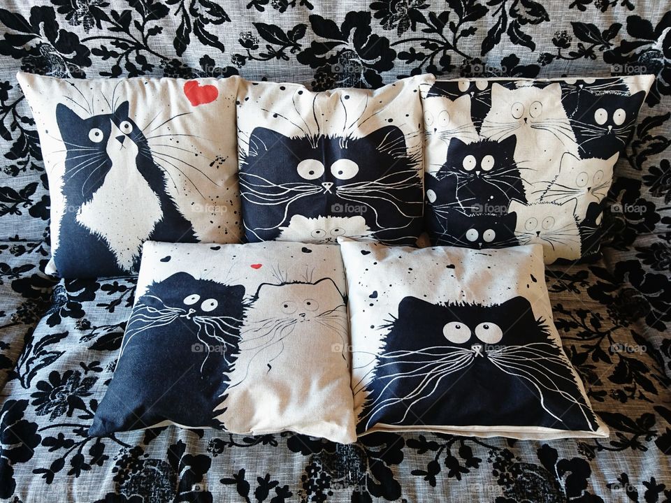 our cat pillows