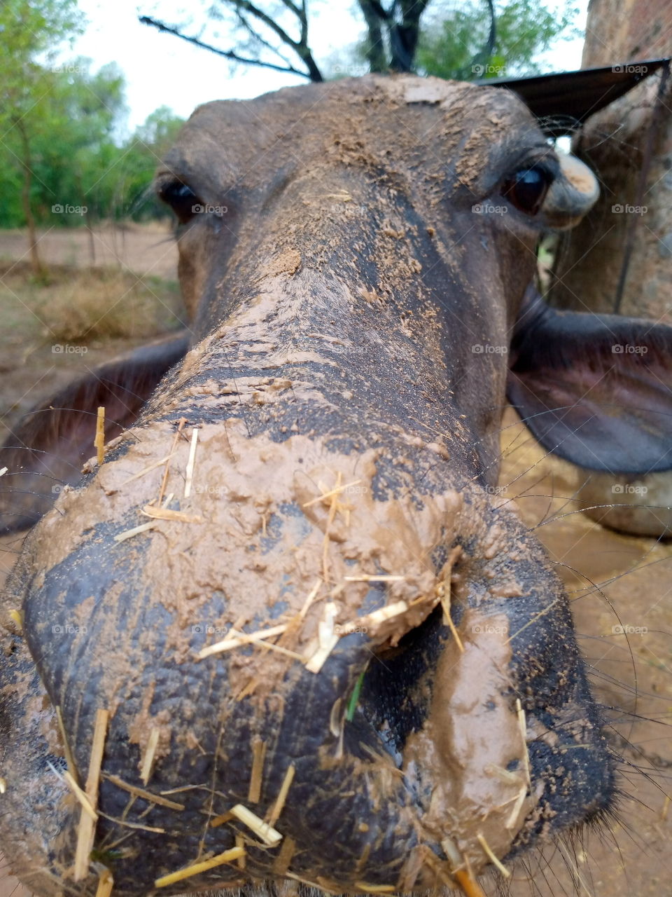 its happy time...........