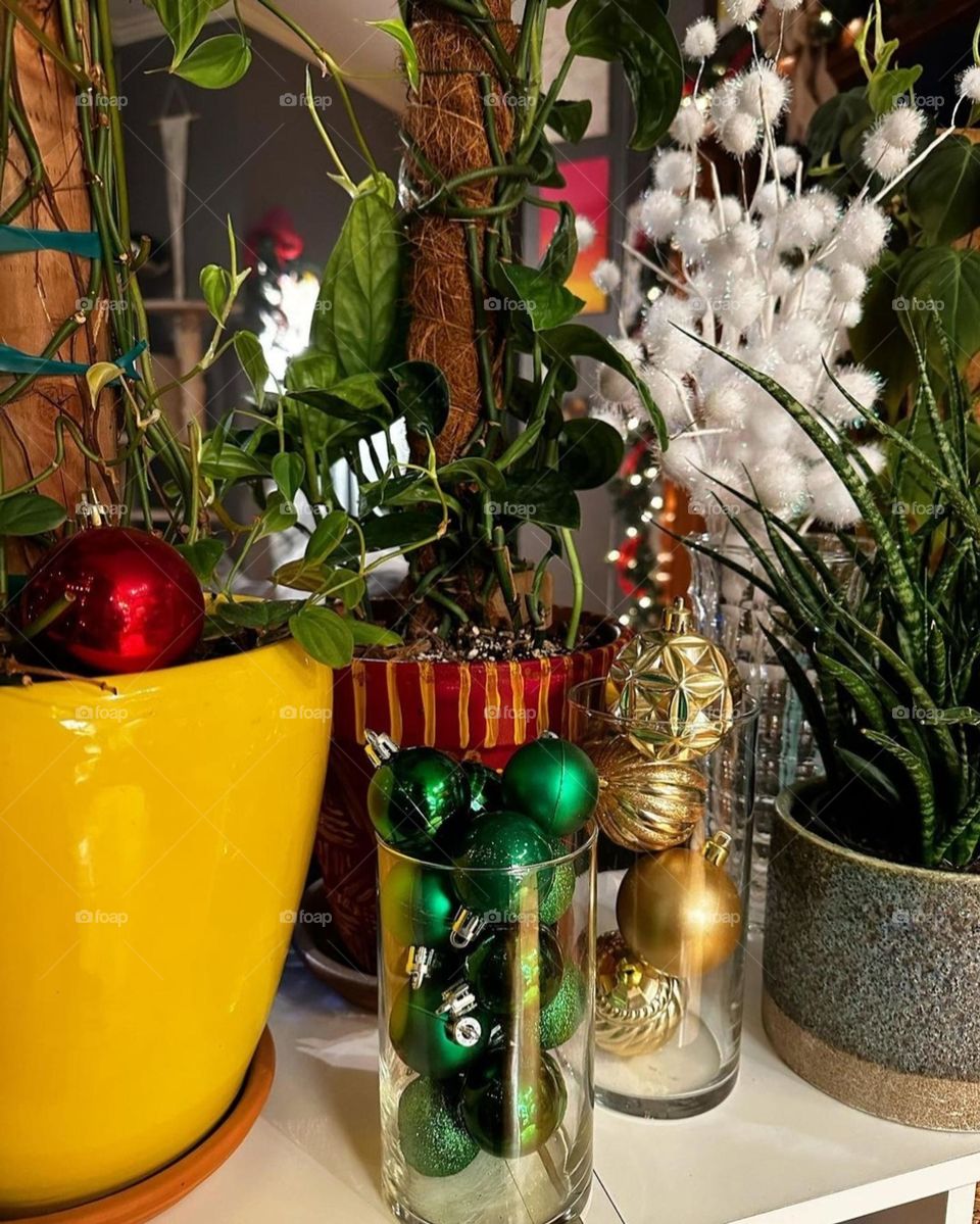 A welcoming photo with plants decorated adorably.