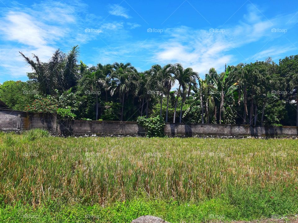 A very bright day with beautiful landscape in Spring