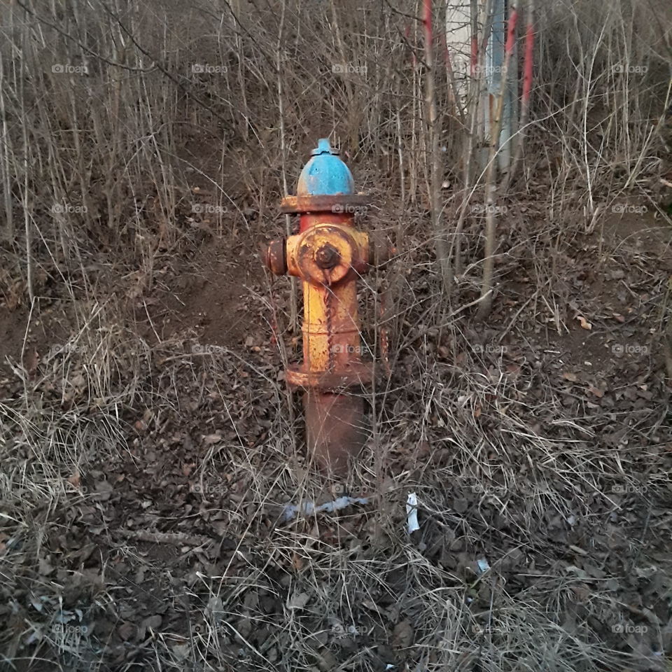 lonely fire hydrant