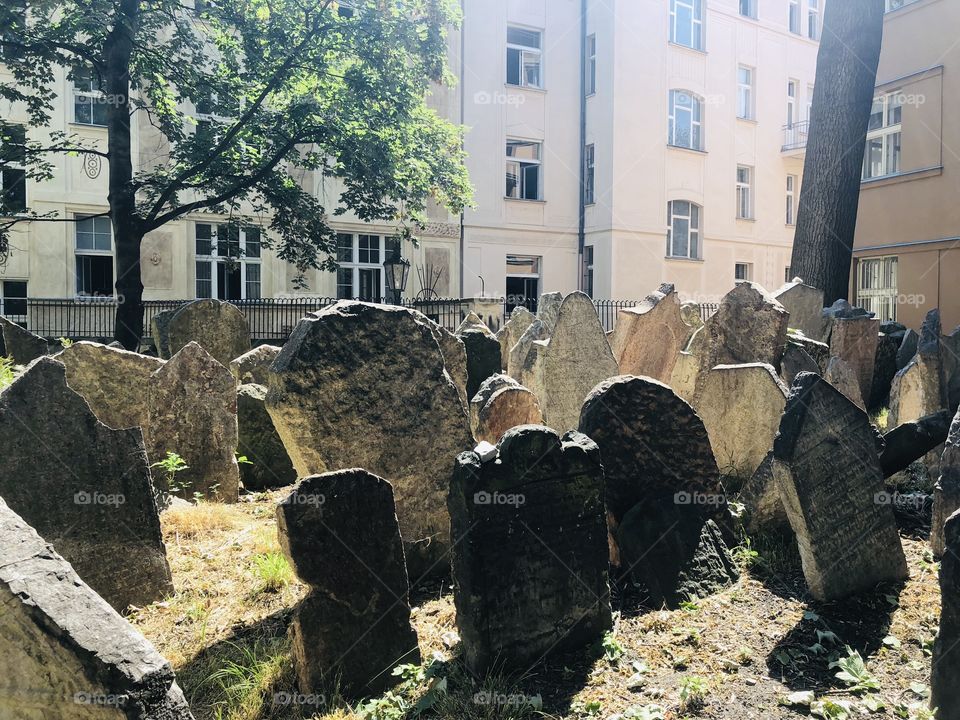 Prague cemitery