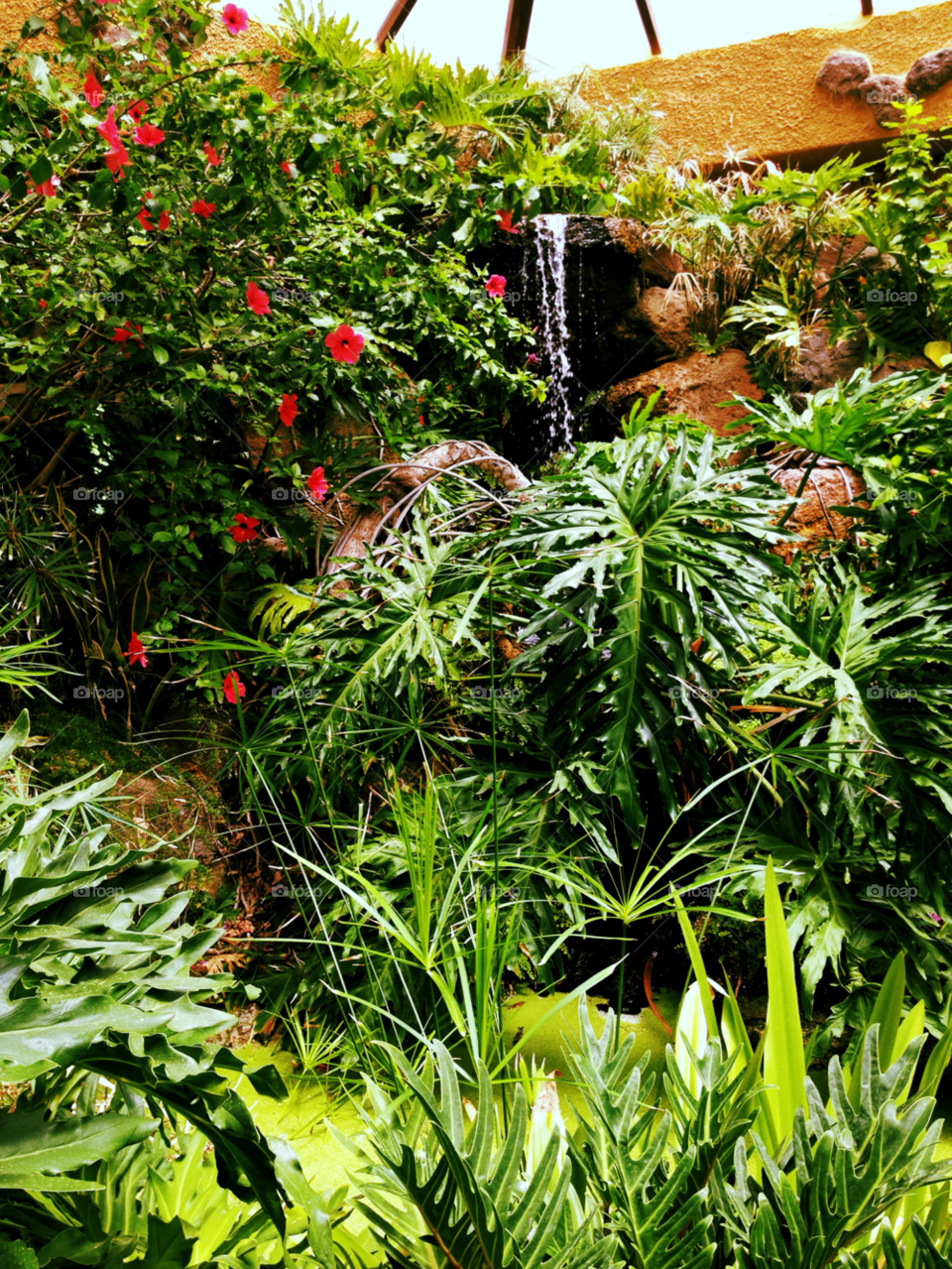 green flower water waterfall by whx123