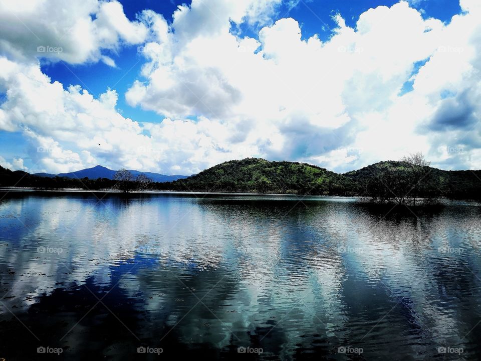 The natural Mirror of sky princes