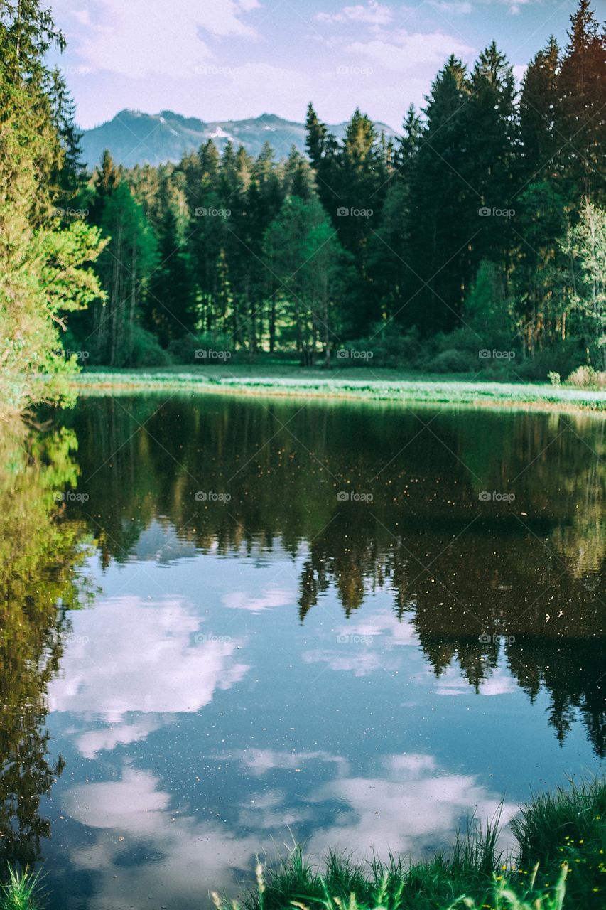 walk in search of photo adventures you never know how good your images will be 📸