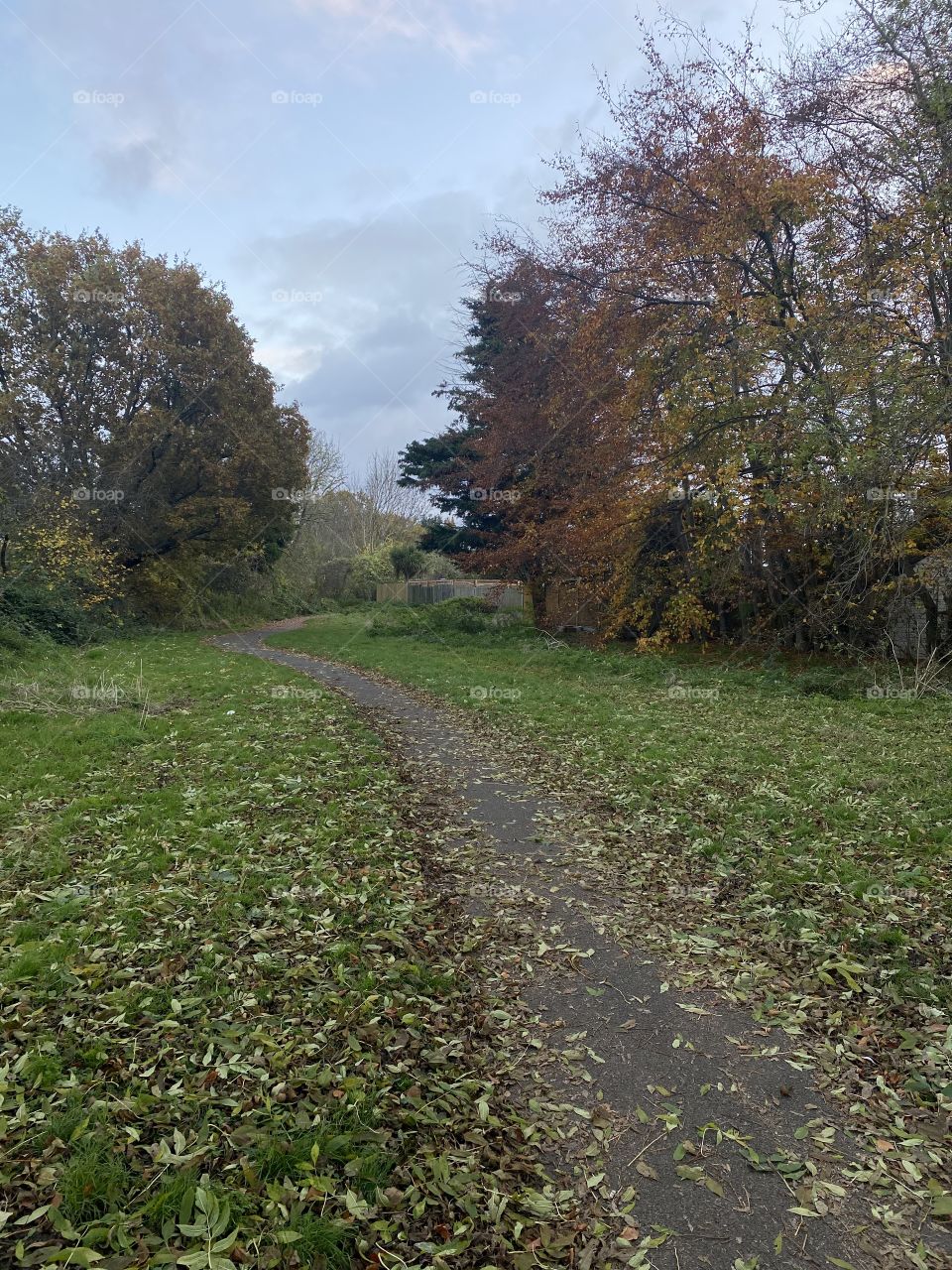 The colors of autumn 