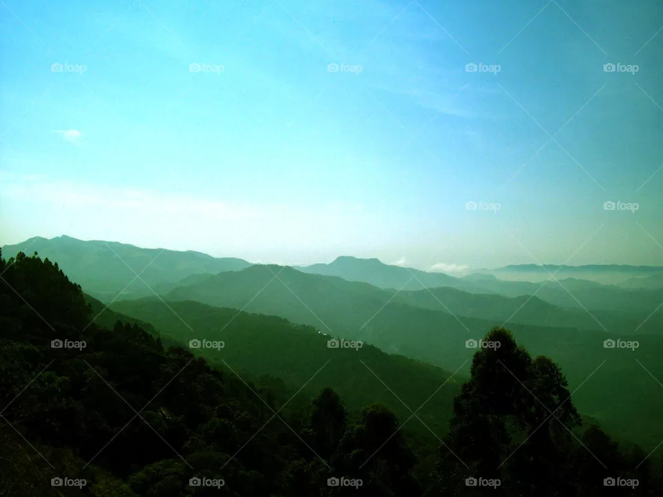 environment