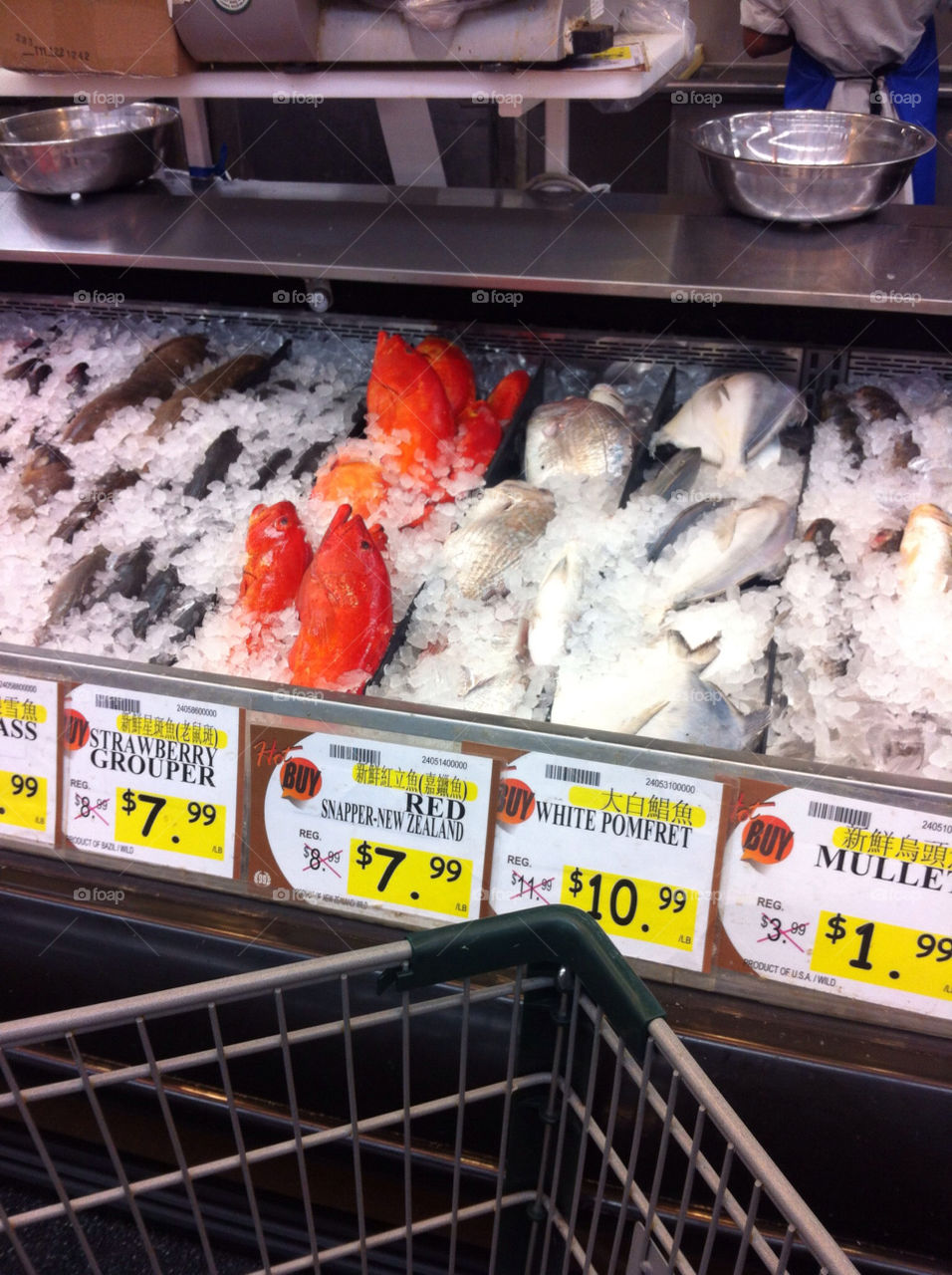 Several types of fish for sale.