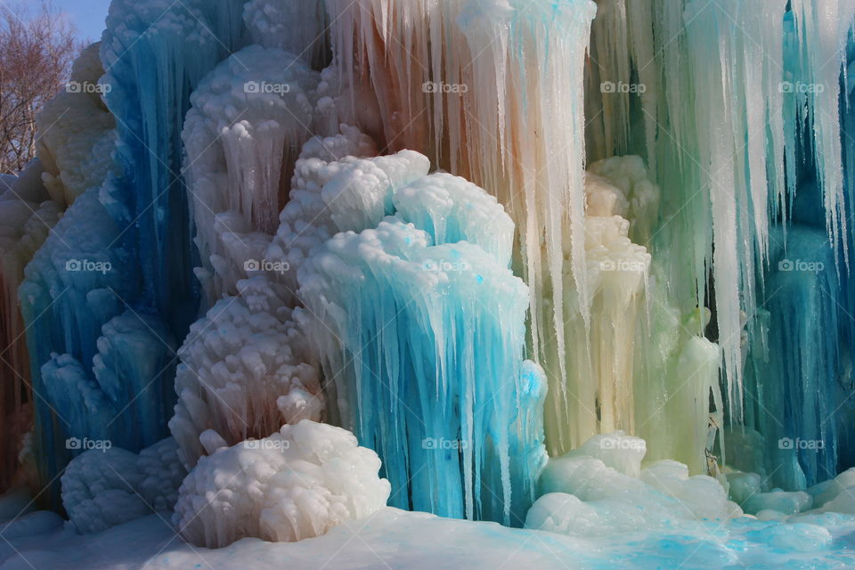 Ice Tree Colors
