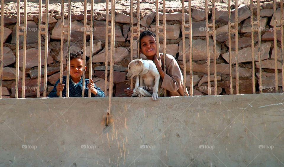 Boys and dog. Boys and their dog in Egypt