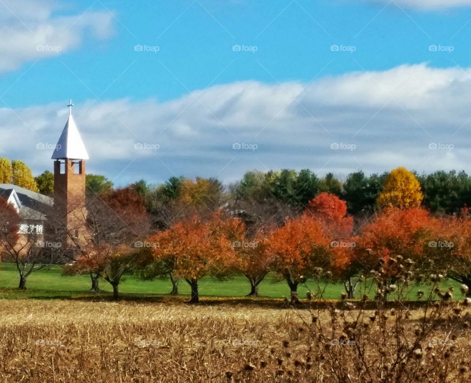 Church at corn field