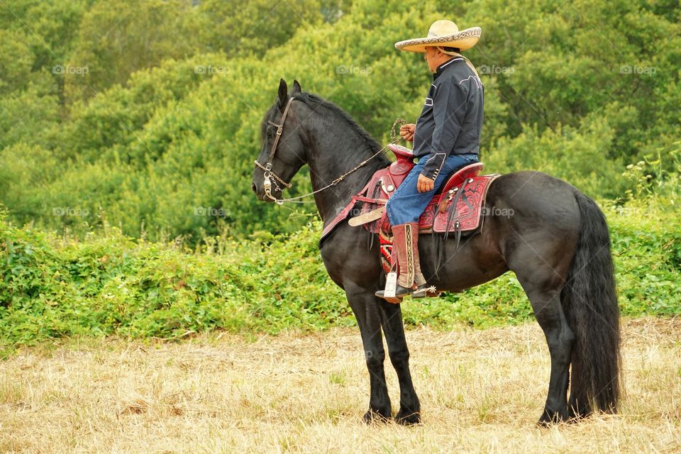 Lone Cowboy On Horseback