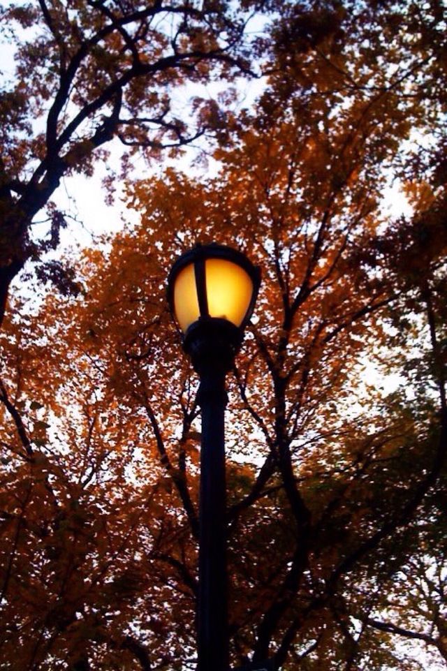 Solitude
