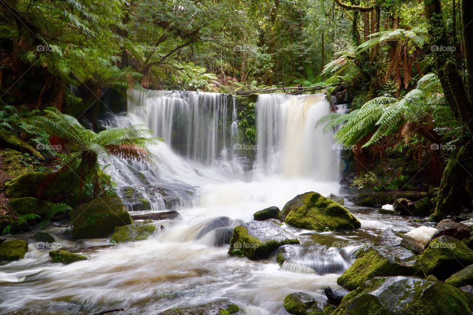 Horshoe Falls at Russell Falls, Mt Field National Park, Tasmania