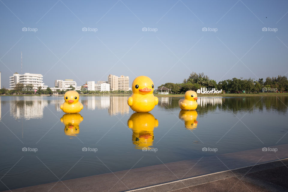 Big duck in the park