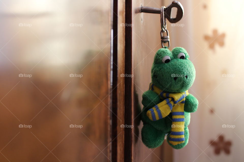 Frog toy hanging on the closet key