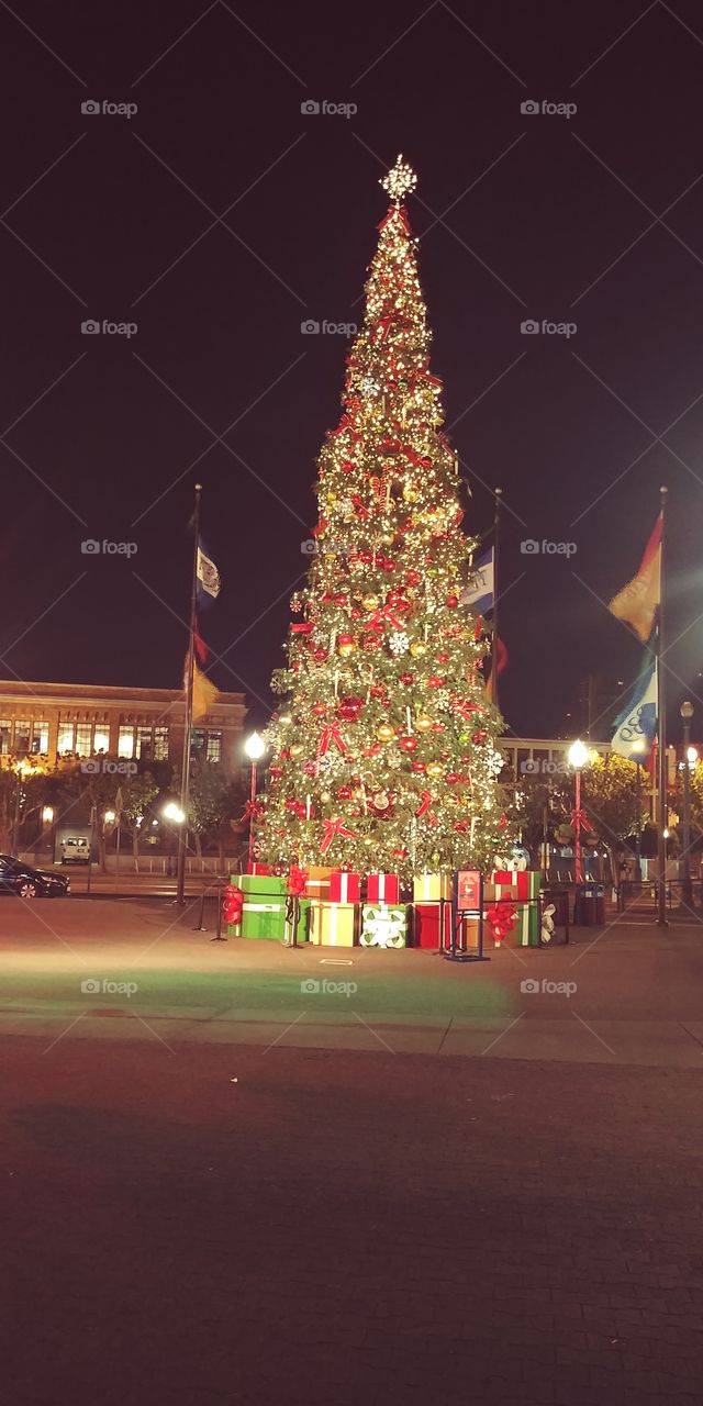 Christmas tree on Pier 39