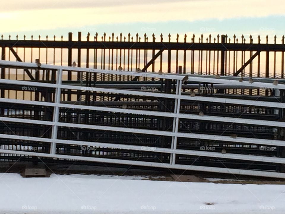 Horse fence, Watkins Colorado