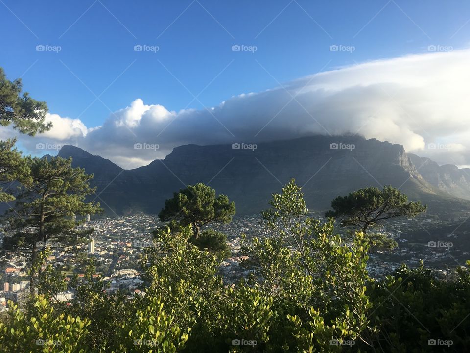 Table moutain