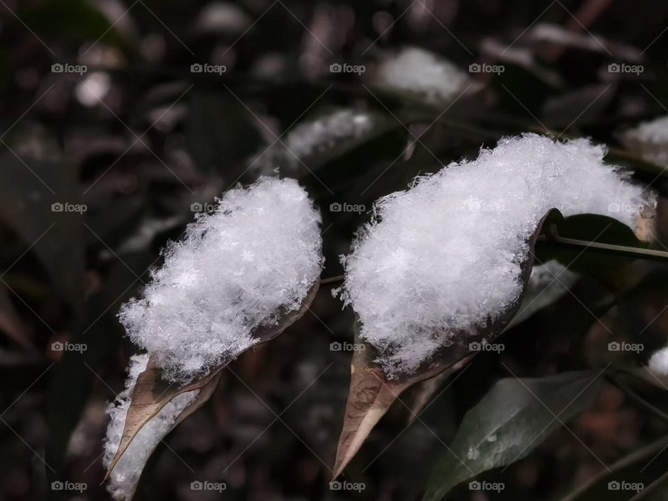 Nature’s icy artistry 