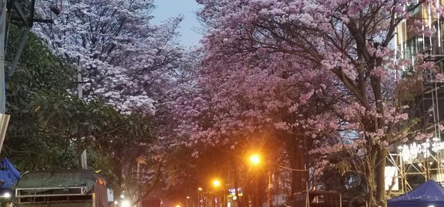 street evening view