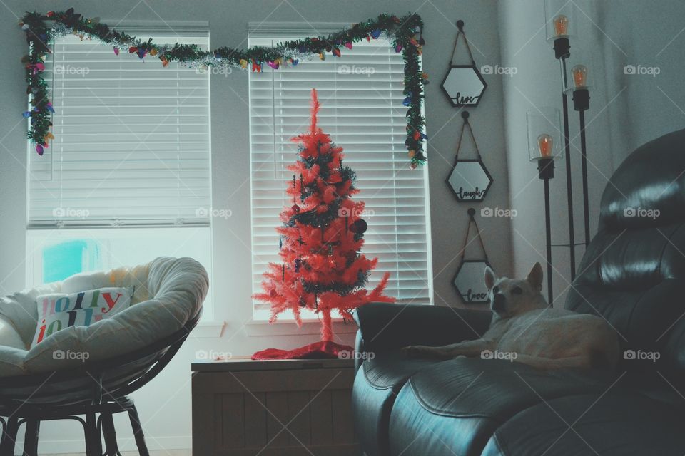 Christmas decorations