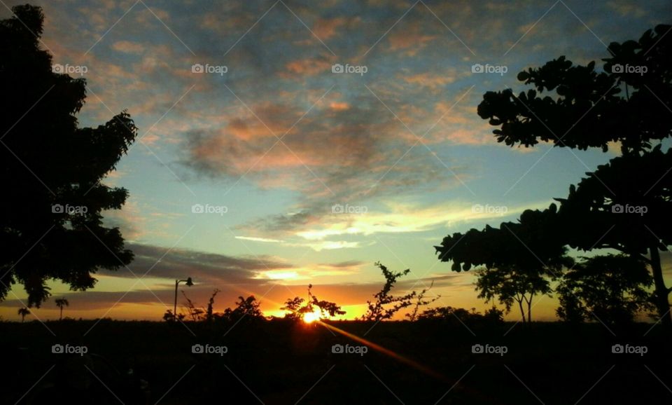 Sunset, Tree, Silhouette, Evening, Landscape