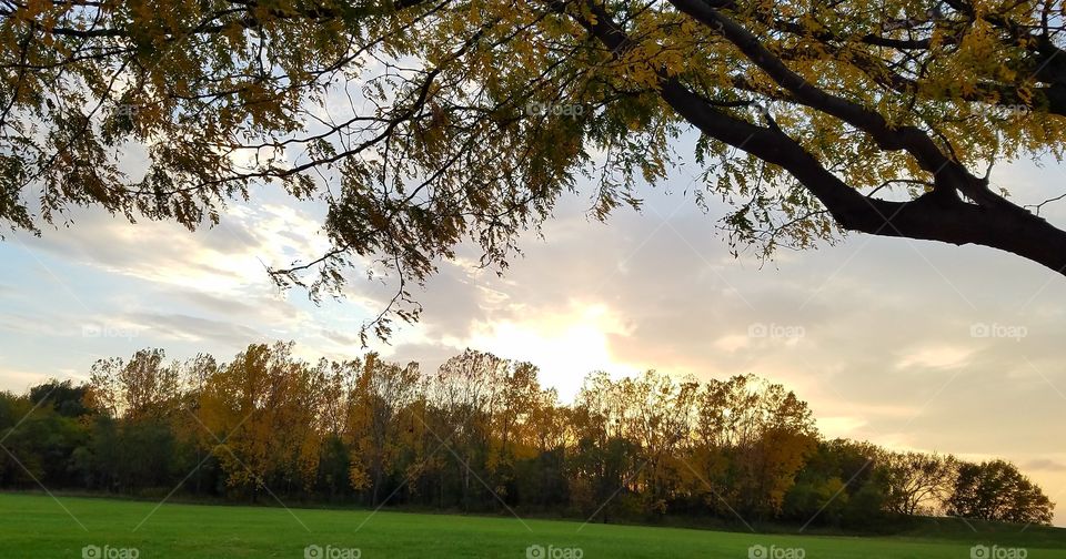 Sunset with fall trees