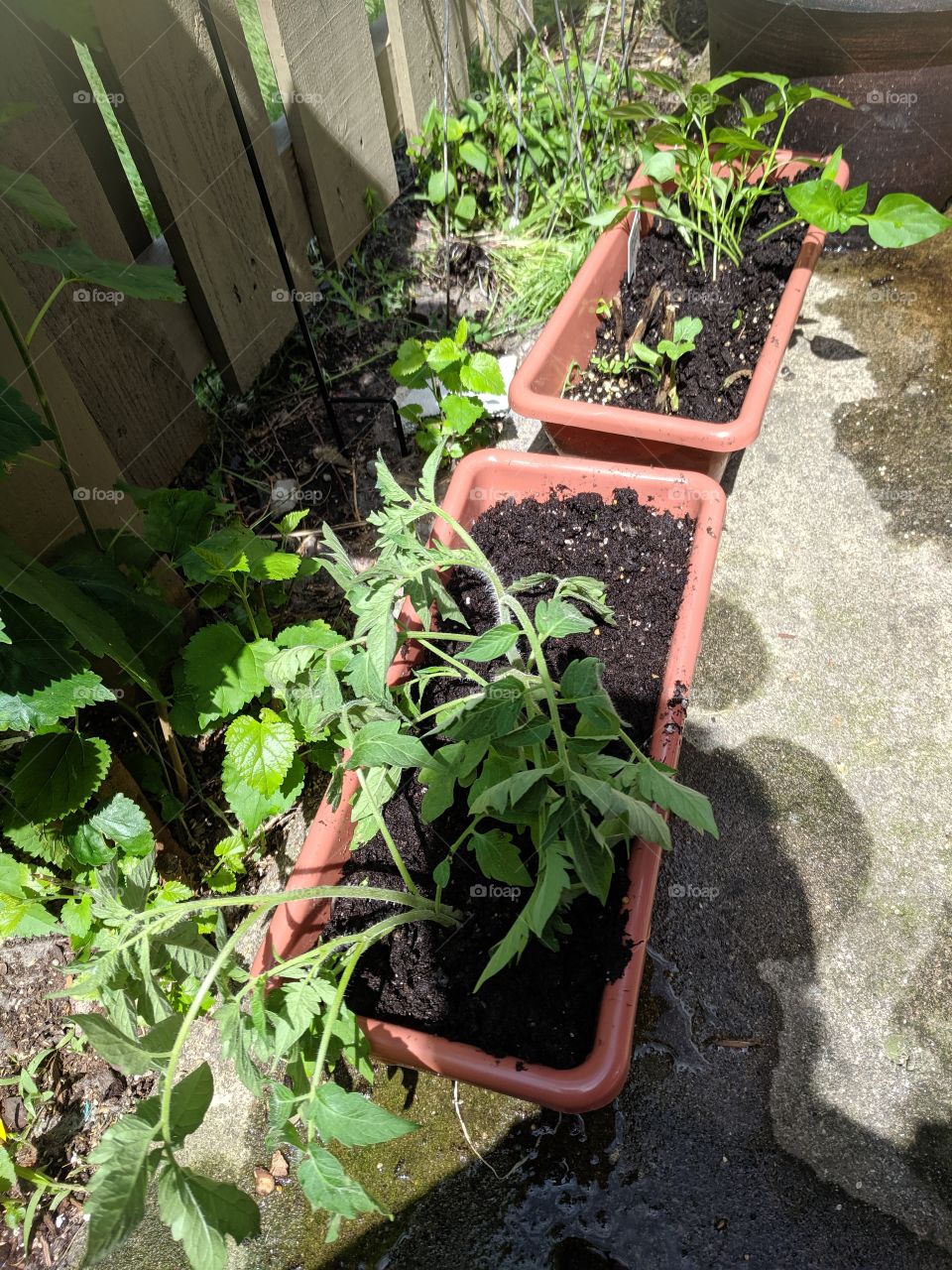 no patio, no problem