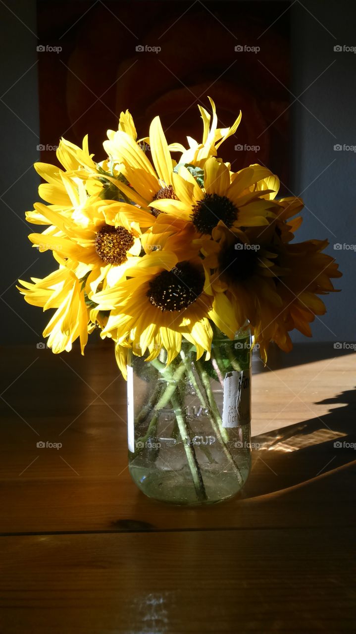 cut wild sunflowers in mason jar