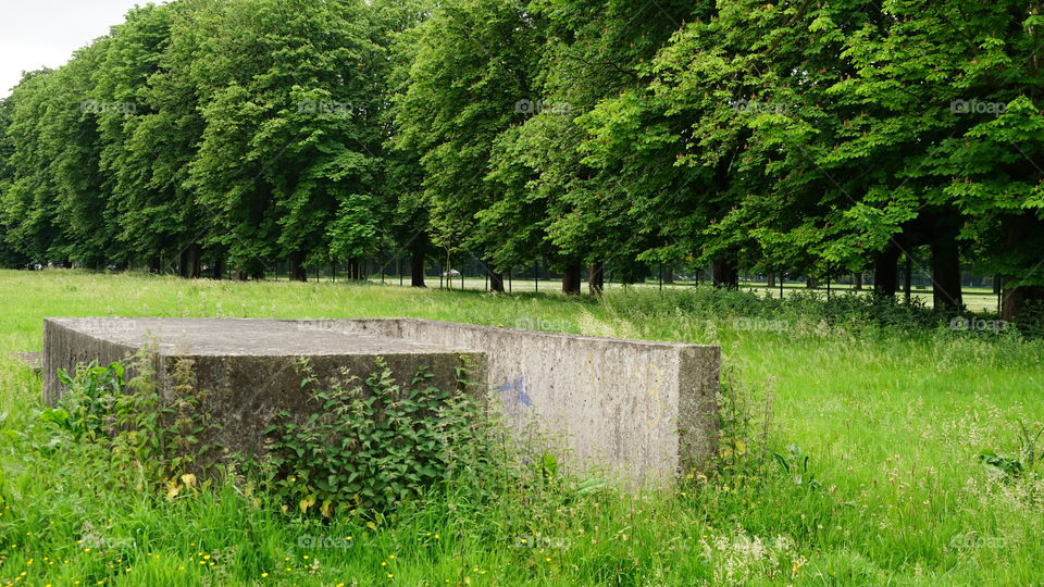 In a field in Antwerp