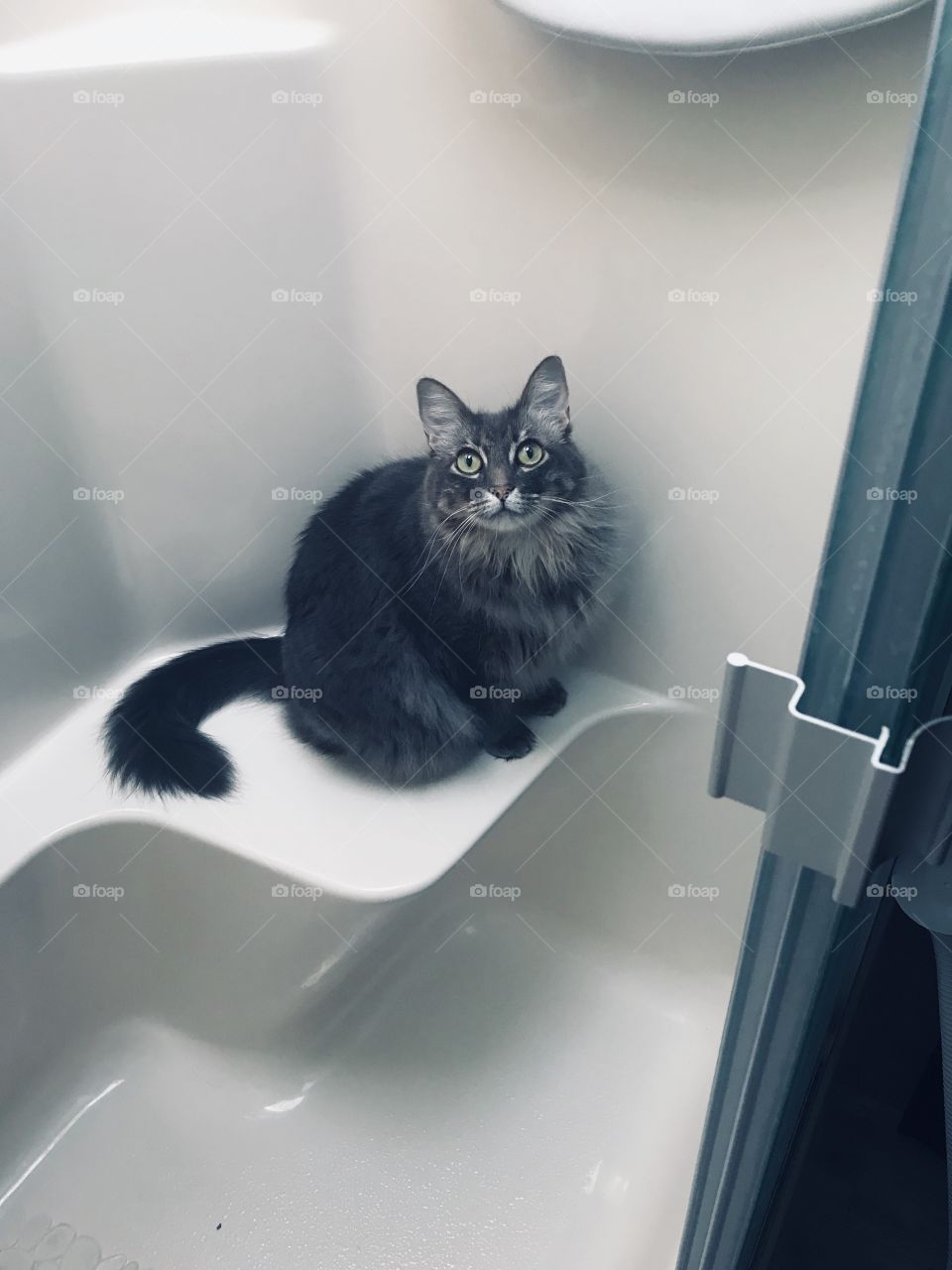 Always ready to shower down. Scrub dub dub